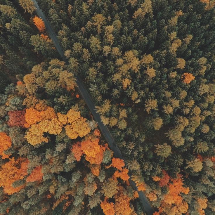 Low-emission travel routes